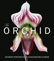 Orchid : Intimate Portraits of a Fascinating Flower 1785516515 Book Cover
