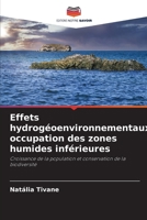 Effets hydrogéoenvironnementaux, occupation des zones humides inférieures 6207276876 Book Cover