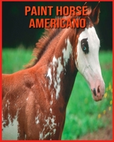 Paint Horse Americano: Immagini stupende e fatti divertenti sugli animali della natura B08XGSTPG3 Book Cover