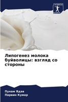Липогенез молока буйвол& 620516048X Book Cover