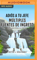 Adiós a tu Jefe: Múltiples Fuentes de Ingreso: Cómo ganar dinero en internet 1713577011 Book Cover