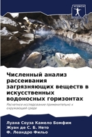 Численный анализ рассеивания загрязняющих веществ в искусственных водоносных горизонтах: Расчетное исследование применительно к окружающей среде 6206343235 Book Cover