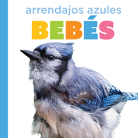 Arrendajos azules bebés (El principio de los) (Spanish Edition) B0HBPKN251 Book Cover