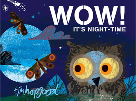 WOW! It's Night-time 1509829393 Book Cover