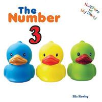 The Number 3 1435893212 Book Cover