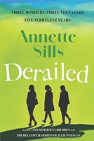 Derailed: Three families, five years, one unforgettable story 1781995354 Book Cover