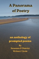 A Panorama of Poetry: An anthology of prompted poems (SDWC Poetry Anthologies) B0H4FV5DJY Book Cover