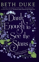 Dark Enough to See the Stars: The Sequel to IT ALL COMES BACK TO YOU B0BPWC2L2D Book Cover