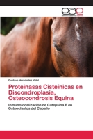 Proteinasas Cisteínicas en Discondroplasia, Osteocondrosis Equina 3659078840 Book Cover