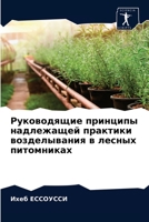Руководящие принципы на& 6203257362 Book Cover