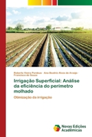 Irrigação Superficial: Análise da eficiência do perímetro molhado (Portuguese Edition) 6206761622 Book Cover