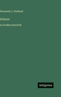 Schnee: in Großdruckschrift 3566034703 Book Cover