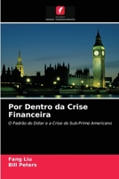 Por Dentro da Crise Financeira 6202851589 Book Cover