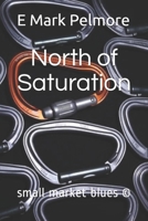 North of Saturation: small market blues © B08R86W6W3 Book Cover