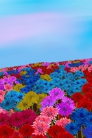 My Dotted Journal - Oh my Bottle flower field: Mijn gestippelde Log - Mein gepunktetes Log - Mon journal en pointillé - Il mio registro punteggiato - 1716063485 Book Cover