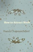 How to Attract Birds 1447464311 Book Cover