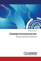 Sinergotekhnologiya: Sinergobetonirovanie 3848480158 Book Cover