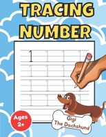 Tracing Numbers: Learn Numbers For Preschoolers And Kids - Number Tracing Worksheets 1-20 (Gigi The Dachshund) B08JVKFP1H Book Cover
