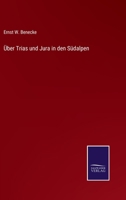 Über Trias und Jura in den Südalpen 1145077048 Book Cover