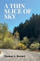 A Thin Slice of Sky B0GK8WHMC1 Book Cover
