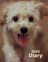 2020 Diary: Dog Lovers Planner: Week to View Organiser: Notebook Poodle Style 1676693130 Book Cover