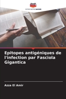 Epitopes antig�niques de l'infection par Fasciola Gigantica 6205366371 Book Cover