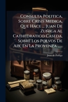 Consulta Politica, Sobre Crisis Medica, Que Hace ... Juan De Zuñiga Al Cathedratico Caseda, Sobre Los Polvos De Aix, En La Provenza ...... 1247269612 Book Cover