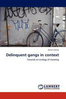 Delinquent gangs in context: Towards an ecology of meaning 3848480689 Book Cover