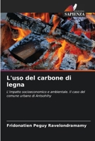 L'uso del carbone di legna (Italian Edition) 6209769977 Book Cover