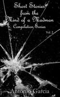 Short Stories from the Mind of a Madman Vol.2 B08VXNFNXH Book Cover