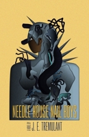 Needle House Nail Boys B0F99TSBT6 Book Cover