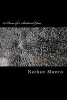 30 Pieces of a Shattered Glass 1499283245 Book Cover