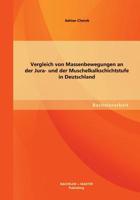 Vergleich von Massenbewegungen an der Jura- und der Muschelkalkschichtstufe in Deutschland 3956840011 Book Cover