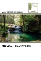 Ndimba...Les mystères (French Edition) 6207816382 Book Cover