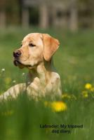 Labrador: My Tripawd Dog Diary 1730806651 Book Cover