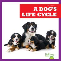 A Dog's Life Cycle 1636908284 Book Cover