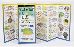 Wreck & Reef Fishes of Florida & Gulf of Mexico 1935380710 Book Cover