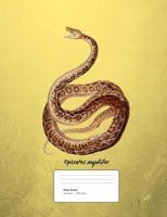 Snake Boa Constrictor Composition Book Wide Ruled: Notebook 200 pages 100 sheets 1725606240 Book Cover