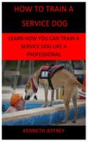 HOW TO TRAIN A SERVICE DOG: LEARN HOW YOU CAN TRAIN A SERVICE DOG LIKE A PROFESSIONAL 1691982342 Book Cover