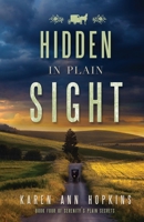 Hidden in Plain Sight 1523947942 Book Cover