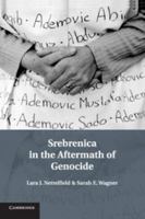 Srebrenica in the Aftermath of Genocide 1107546141 Book Cover