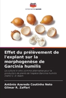 Effet du prélèvement de l'explant sur la morphogenèse de Garcinia humilis (French Edition) 6209510957 Book Cover