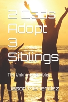 2 Dads Adopt 3 Siblings: The Unknown Enabler B0BSWPGH4K Book Cover