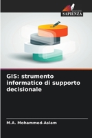 GIS: strumento informatico di supporto decisionale (Italian Edition) 6209514081 Book Cover