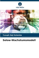 Solow-Wachstumsmodell 6205308959 Book Cover