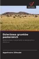 Dzierżawa gruntów pasterskich 6208747279 Book Cover