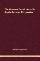 The German Gothic Novel in Anglo-German Perspective (Internationale Forschungen zur Allgemeinen und Vergleichenden Literaturwissenschaft, 165) 9042037415 Book Cover