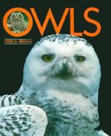 Owls (First Book) 0531200086 Book Cover
