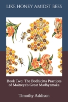 Like Honey, Amongst Bees: Book Two: The Bodhicitta Practices of Maitreya's Great Madhyamaka 3982774012 Book Cover