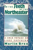 In the Teeth of the Northeaster: A Solo Voyage on Lake Superior 0517564491 Book Cover